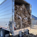 EM6060-Compacted-Wood-and-OCC-Mix-to-C-D-Plant